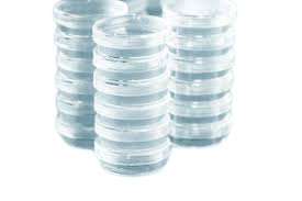Petri Dish Canada