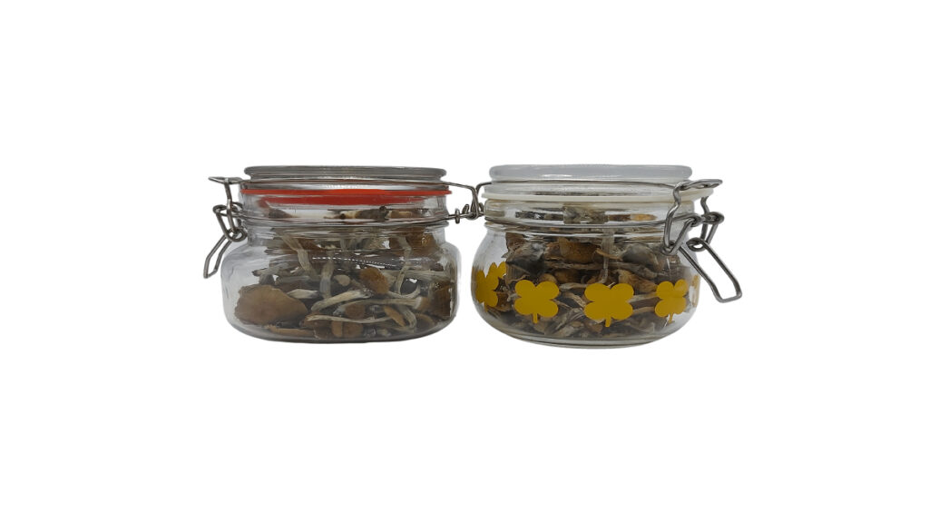 Magic-Mushrooms-stored-in-mason-jars-1
