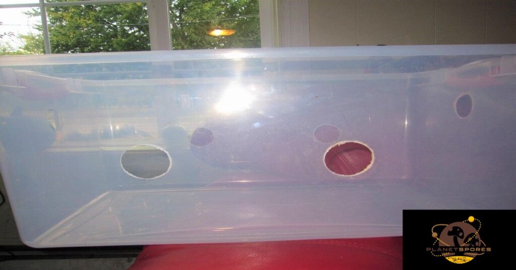 Empty monotub with holes drilled